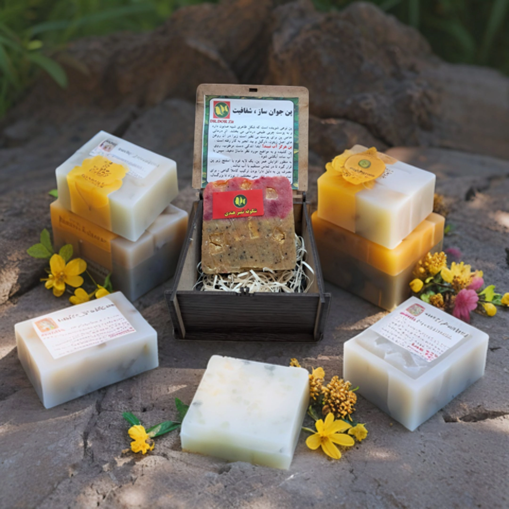 image_Pippit_202504301742 (23)-min (1).webp